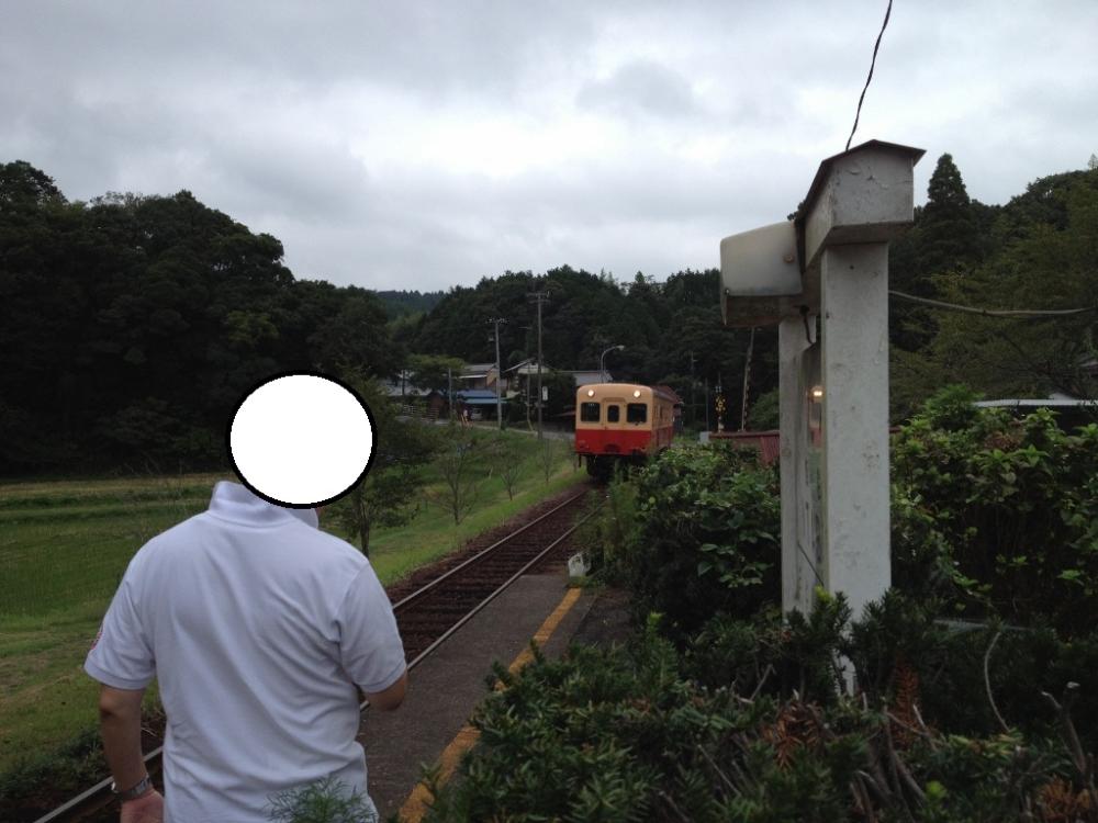 IMG_2090 (1024x768).jpg